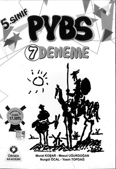 PYBS 7 DENEME FotokoPink