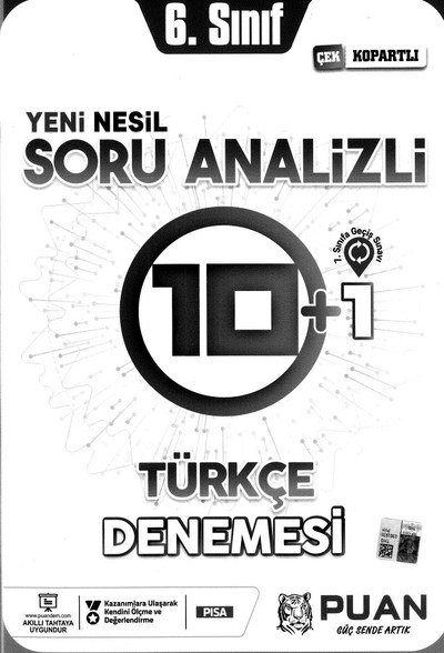 SORU ANALİZİ 10+1 TÜRÇE DENEMESİ