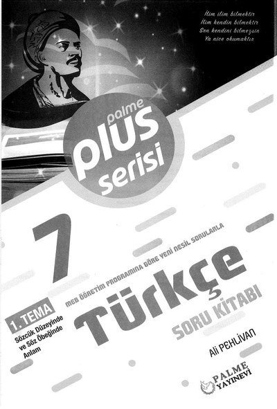 PLUS SERİSİ TÜRKÇE SORU KİTABI FotokoPink