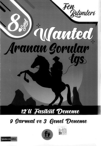 WANTED ARANAN SORULAR LGS 12'Lİ FASİKÜL DENEME FotokoPink