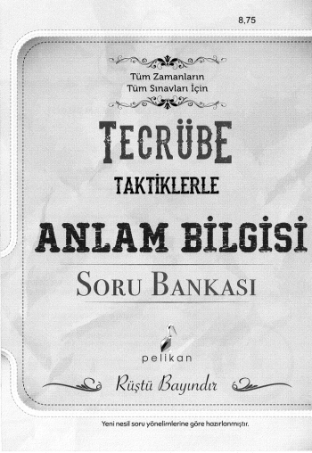 TECRÜBE TAKTİKLERLE ANLAM BİLGİSİ SORU BANKASI FotokoPink