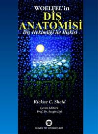 Diş Anatomisi Diş Hekimliği ile İlişkisi, Woelfel, Rickne Sheid, Sezgin İlgi FotokoPink