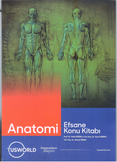 Anatomi Efsane Konu Kitabı Tusworld FotokoPink