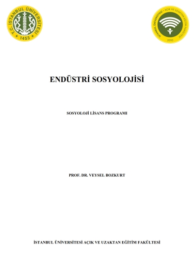 Endüstri Sosyolojisi FotokoPink