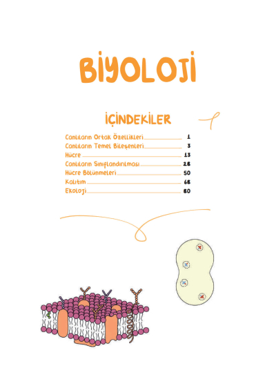 TYT Biyoloji Vip Notlar Vin Kampüs FotokoPink