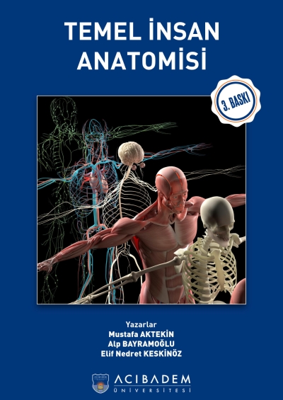 Temel İnsan Anatomisi Acıbadem Üniversitesi FotokoPink