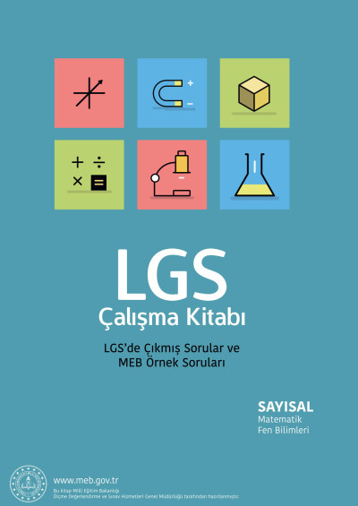LGS Çalışma Kitabı Sayısal FotokoPink