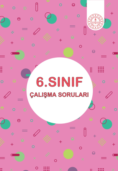 6. Sınıf Çalışma Soruları FotokoPink